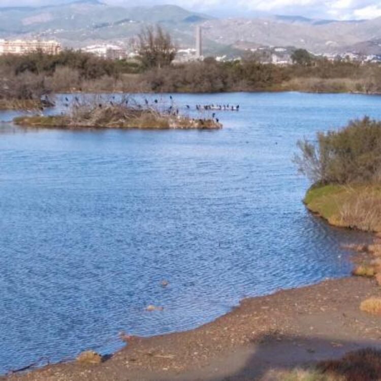 Malagueño