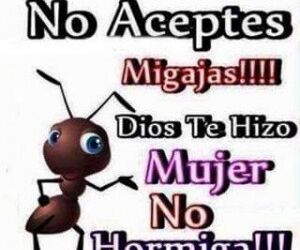 Orlando Perez