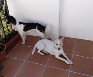 Beatriz