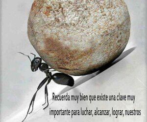 Miriam Dolores