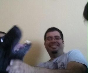 Palomo 87
