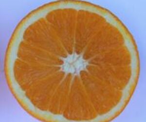 Citrima Citric
