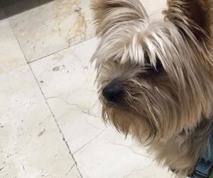 Coco
