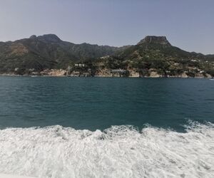 Yarismar