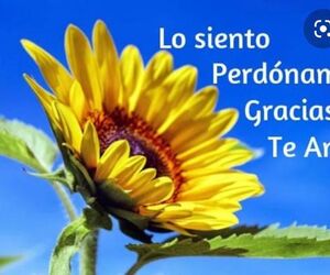 Reme