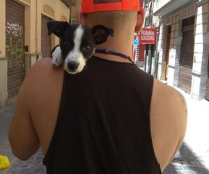 Cristian