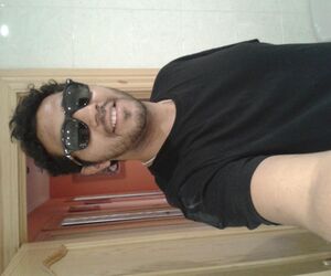 dardo