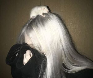 vera
