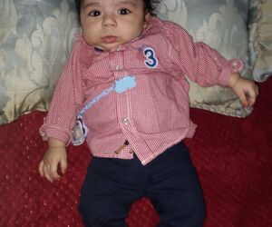 Meli