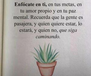 Celia