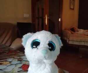 Lulita
