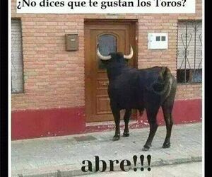 Jose Manuel