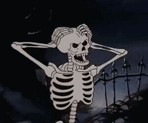 Brook