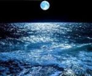 Marlunae