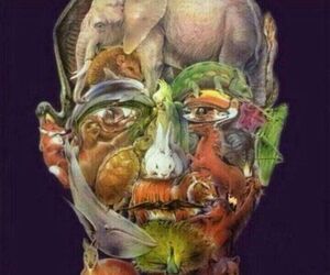 Pepe