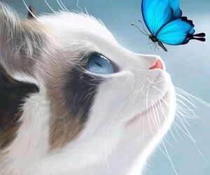 Piscis30