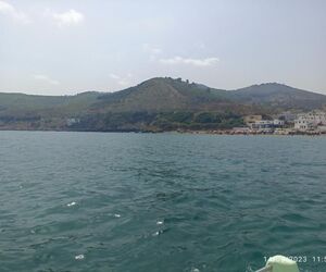 saray
