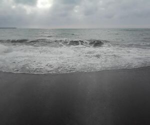 Sandri