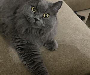 Sergio