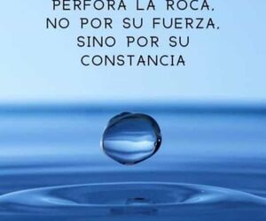 Jose