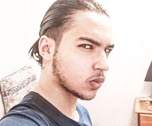 Hamed