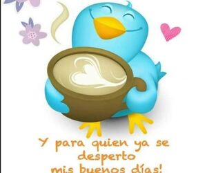Joooss