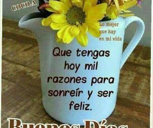 Primo zumosol         