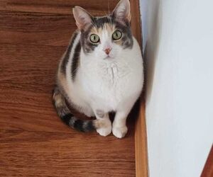 Bea