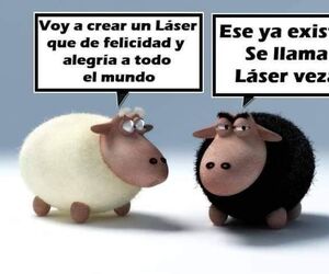 Salva Gallardo
