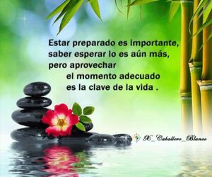 M@l@g@