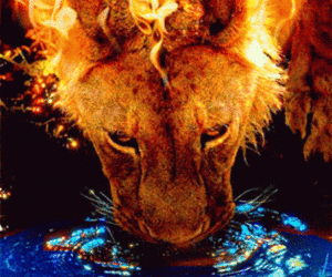 Firetiger