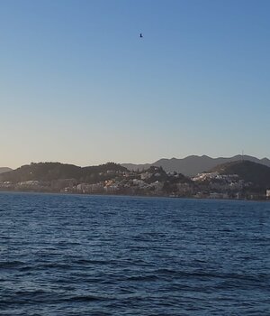Bahiana