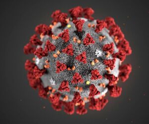 Coronavirus