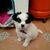 josem