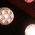 lunares