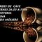 TARDE D CAFE viernes 26-03 a 17 h
