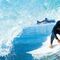 Surf en El Palmar