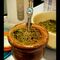 Mareada Argentina