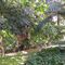 jardin botanico entrada gratuita
