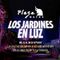 Los Jardines En Luz En EL Centro Comercial Plaza Mayor 