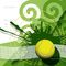 Padel pull mixta sin niveles lunes martes jueves y sabados a 19 h