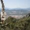 Senderismo por el monte de Alhaurí­n de la Torre