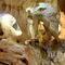Visita Cueva del Tesoro, Cala del Moral Rincón de la Victoria