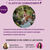 Circulo de mujeres con arteterapia