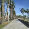 Andar y charlar por el Paseo Maritimo