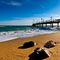 Salir a caminar o correr por el paseo marí­timo de Marbella