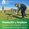 Málaga necesita un gran Pulmón Verde