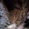 Ferrata de montejaque y visita a la cueva de hundidero