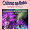 Exposición de fotografí­as -Colores en Meche-s-