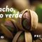 Oro Verde. Una Oda AL Pistacho Restaurante Bendito Malaga
